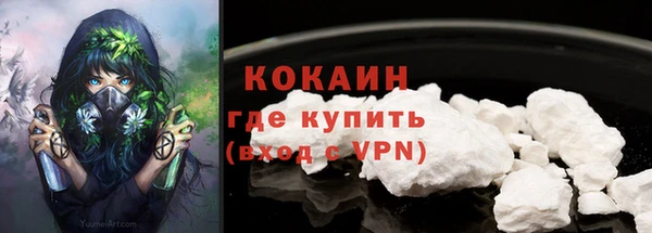 крисы Алзамай