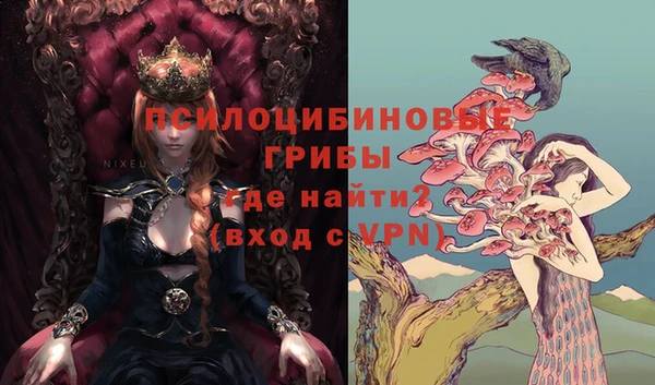 МДПВ Алексеевка