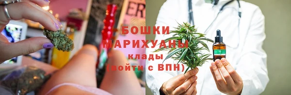крисы Алзамай