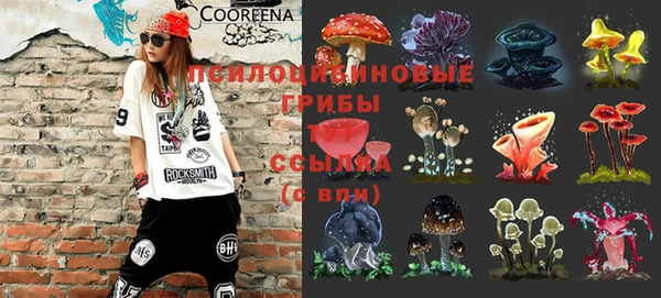 крисы Алзамай
