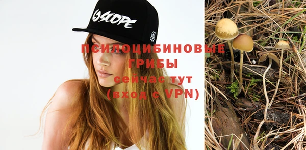 прущие грибы Абдулино