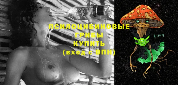 прущая мука Абаза