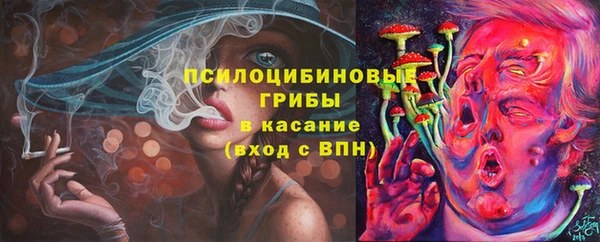 прущая мука Абаза