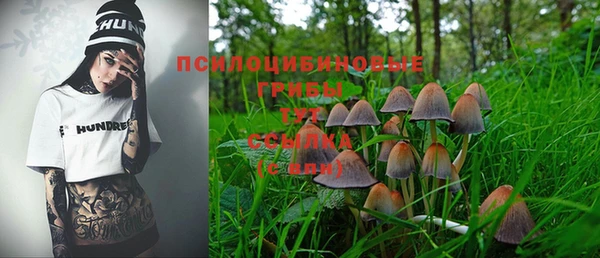 прущая мука Абаза