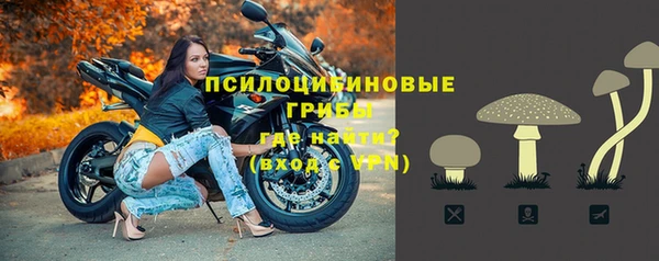 МДПВ Алексеевка