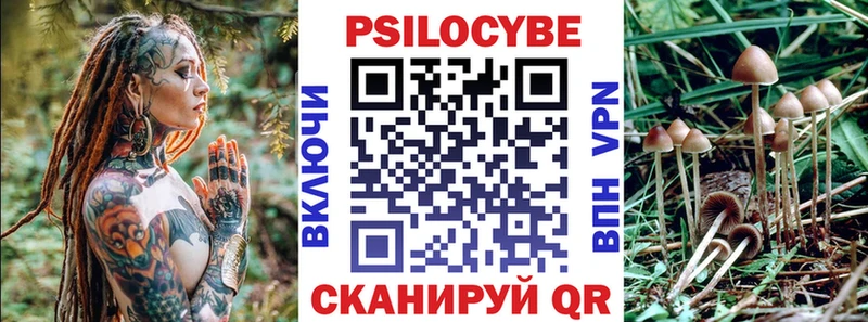 купить наркоту  Нягань  Псилоцибиновые грибы Psilocybine cubensis 